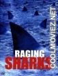 Raging Sharks (2005) Hindi Dubbed Movie