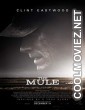 The Mule (2018) English Movie