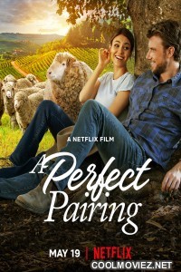 A Perfect Pairing (2022) Hindi Dubbed Movie