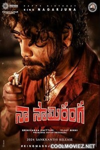 Naa Saami Ranga (2024) Hindi Dubbed South Movie